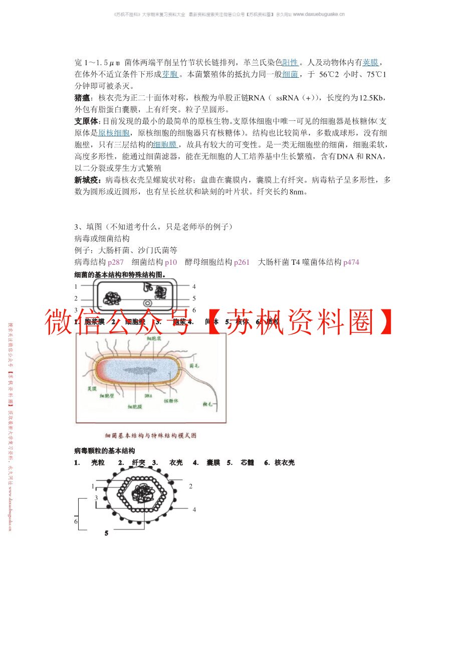 兽医微生物学